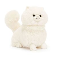 Carissa chat Persan 